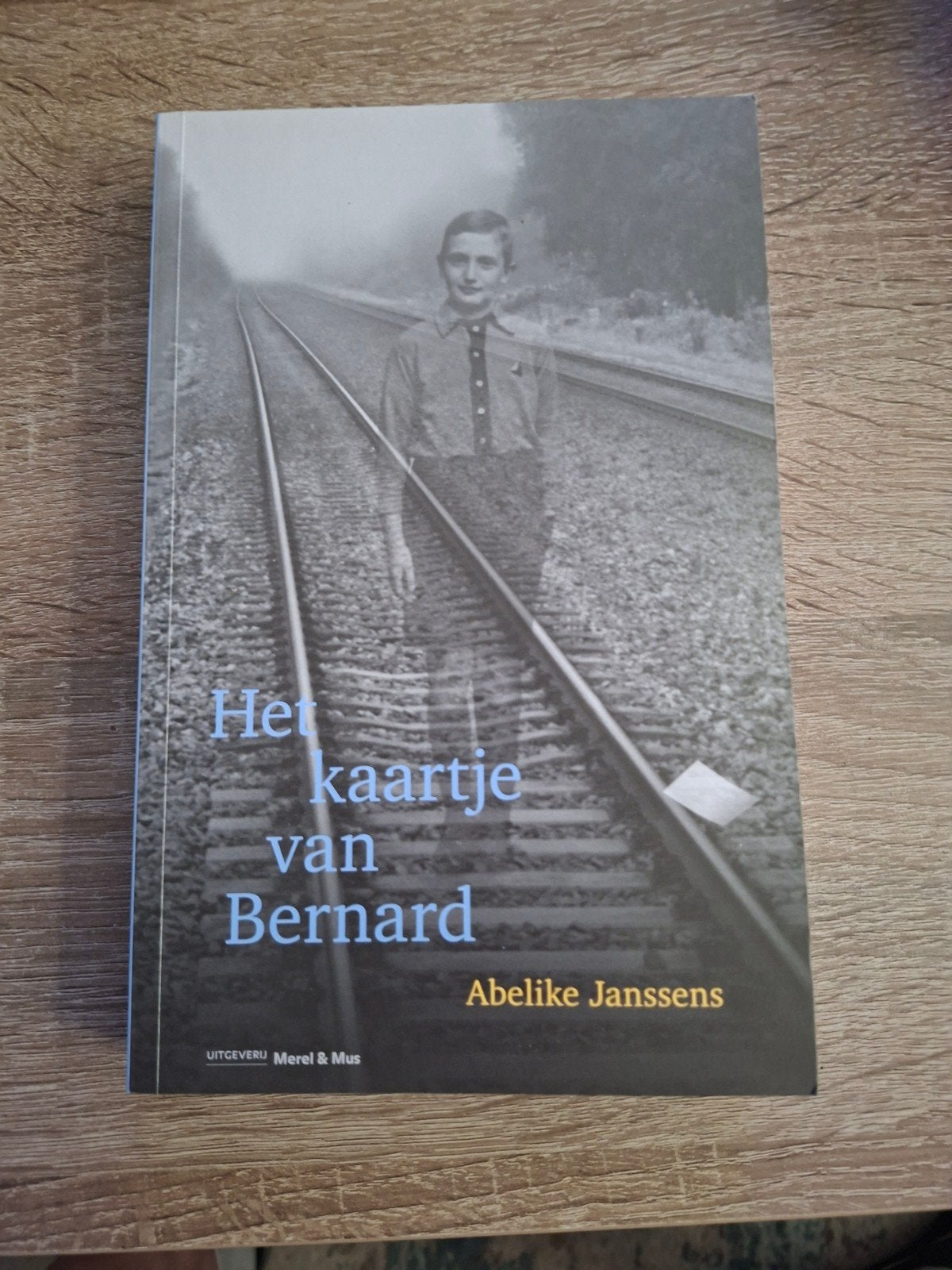 Abelike Janssens - Het kaartje van Bernard, Boeken, Ophalen of Verzenden, Zo goed als nieuw, Abelike Janssens