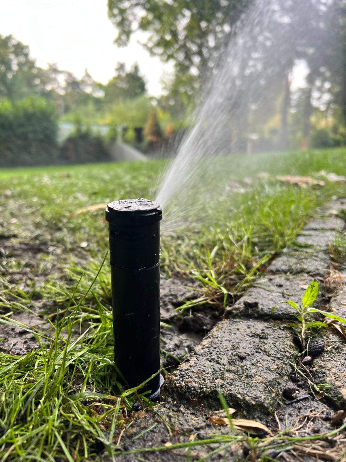 Sproeiinstallatie voor Tuin en Gazon