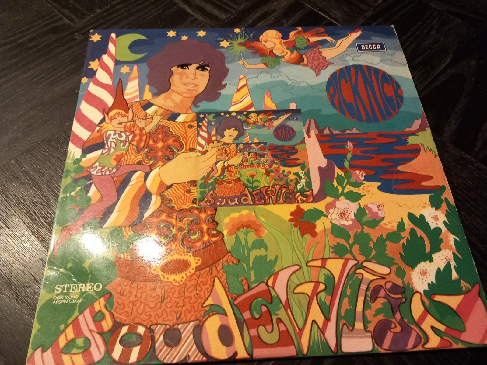 Boudewijn de Groot - Picknick LP (Decca, Stereo), Ophalen of Verzenden, Gebruikt, 12 inch, LP