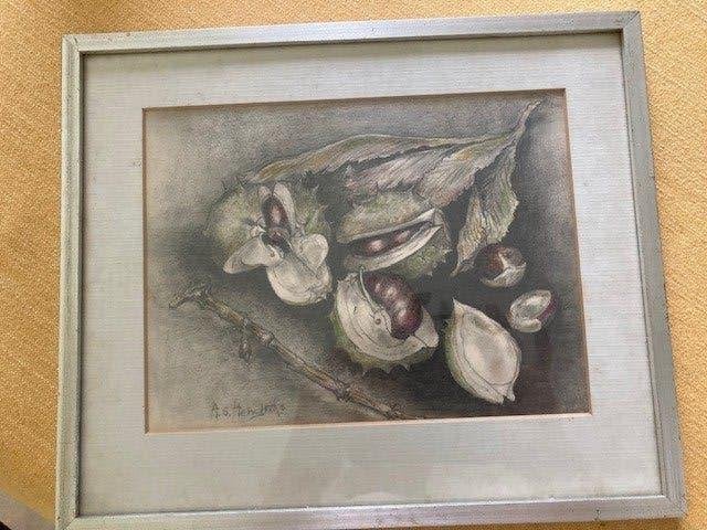 Stilleven met Kastanjes - Gesigneerde Tekening, Ophalen, Realistisch, Stilleven, Tekening