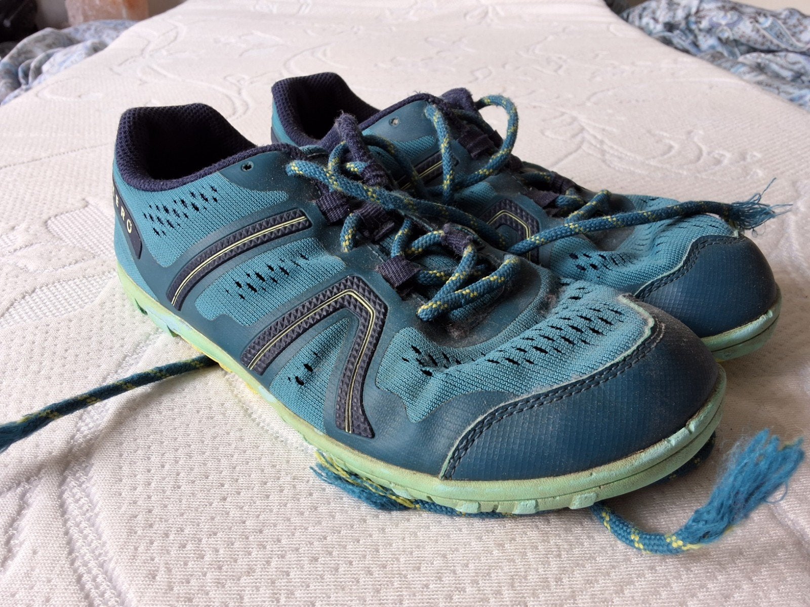 Xero Barefoot Schoenen Maat 38,5 - Gedragen, Xero, Blauw, Ophalen of Verzenden, Sneakers of Gympen