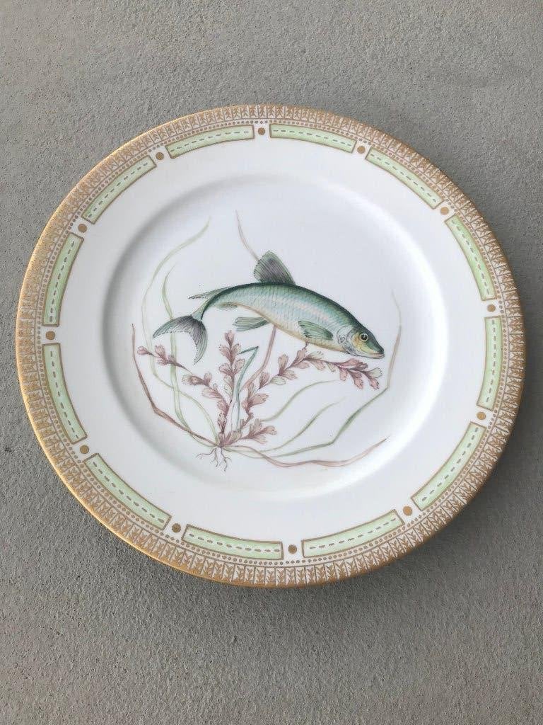 rosenthal glypea harengus k.l.1959 porselein bord vis, Ophalen of Verzenden