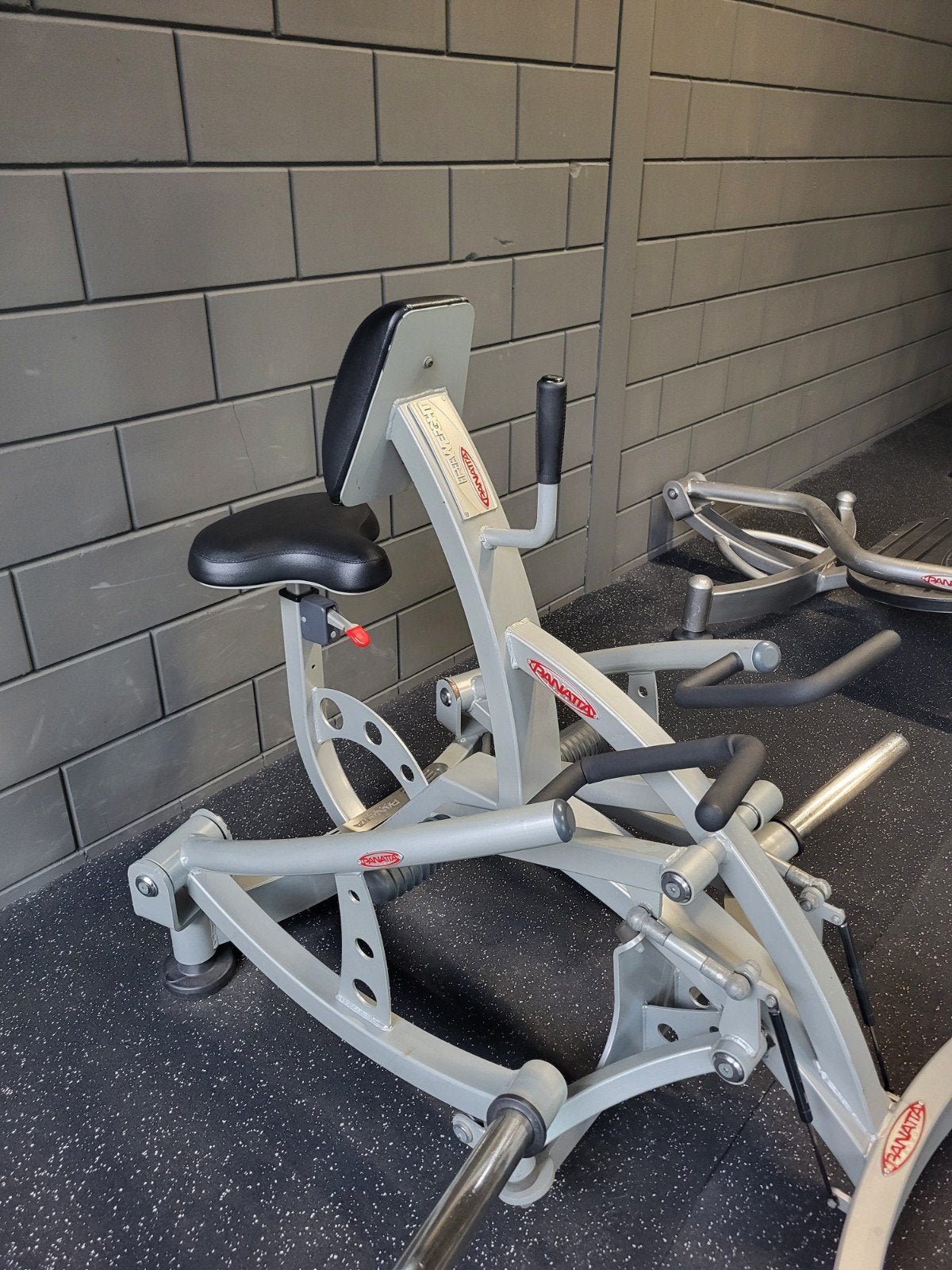 Panatta Seated rowing Plate loaded, Sport en Fitness, Fitnessmaterialen, Ophalen, Zo goed als nieuw, Overige typen