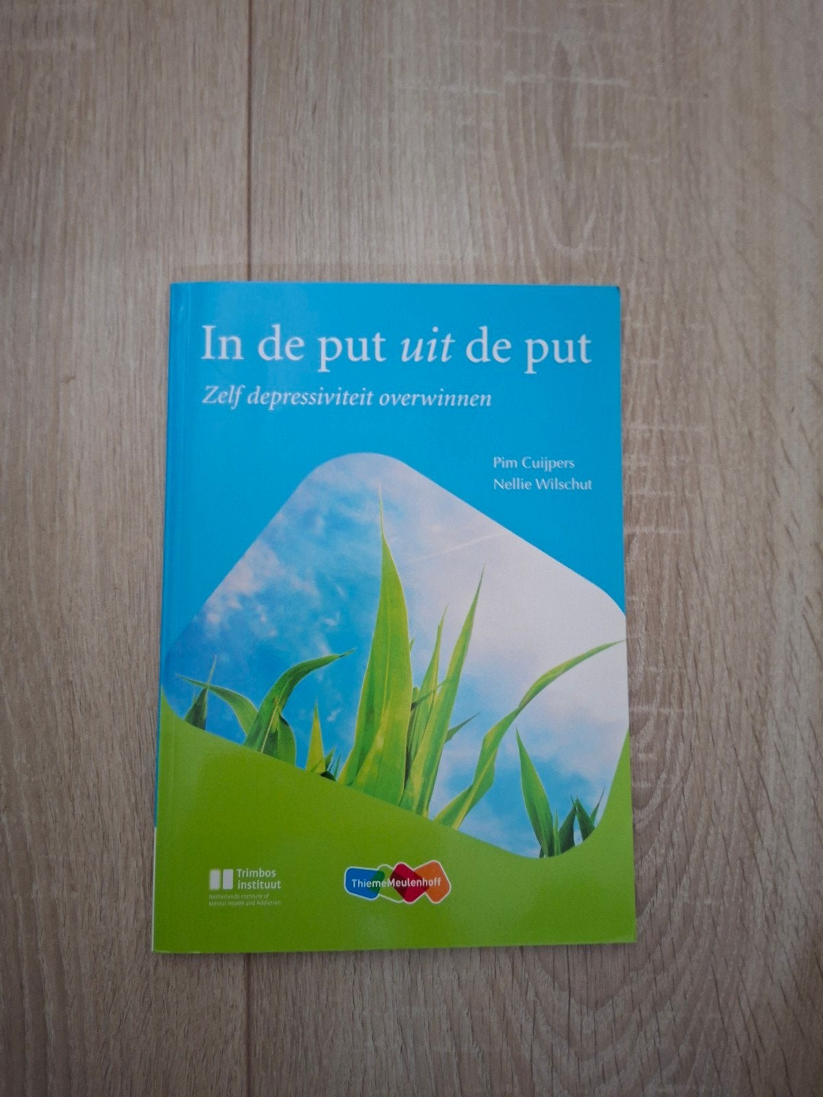 In de put uit de put - Zelf depressiviteit overwinnen, Boeken, Ophalen of Verzenden, Zo goed als nieuw, Klinische psychologie