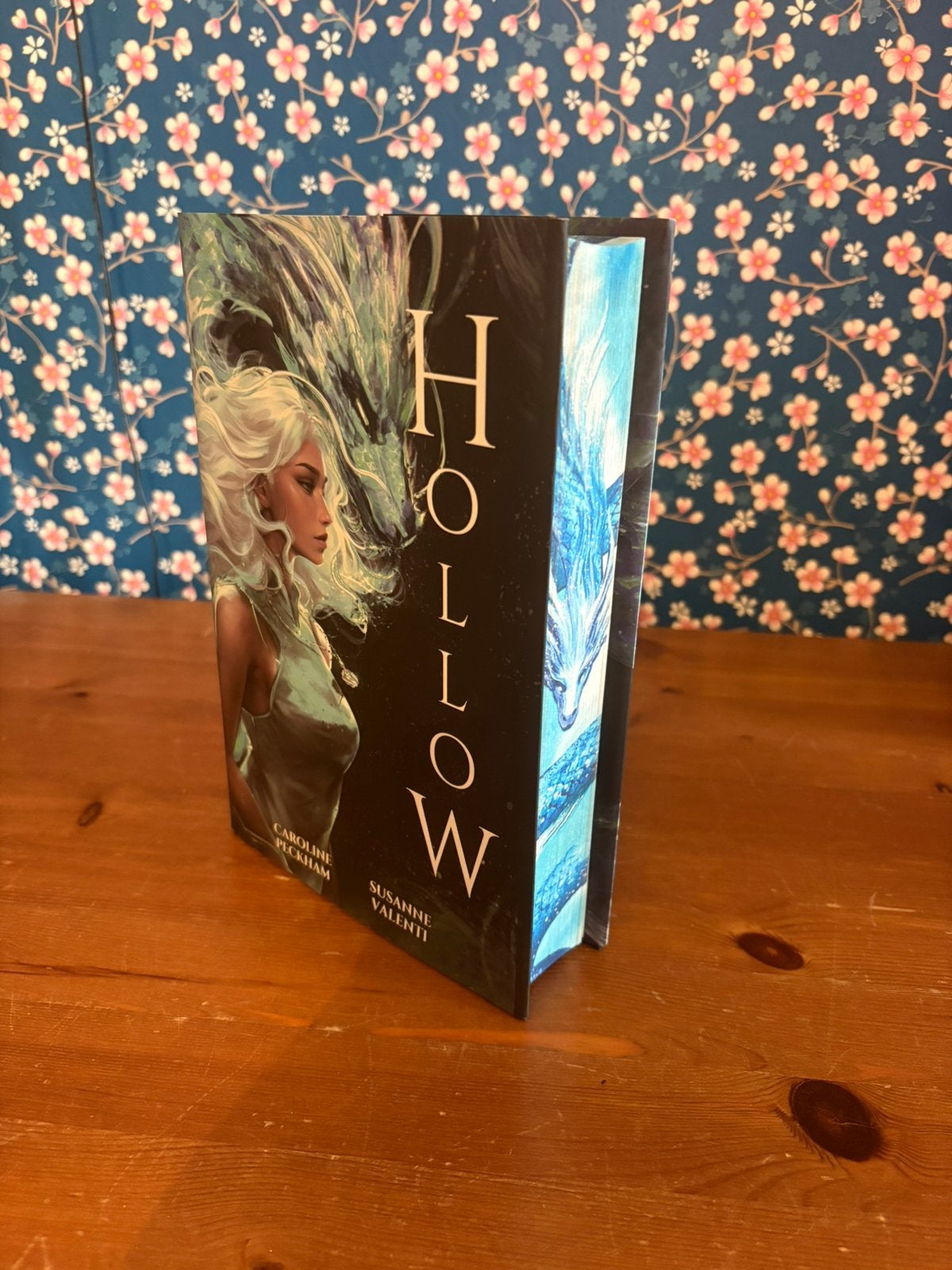 Hollow, Boeken, Ophalen of Verzenden, Zo goed als nieuw