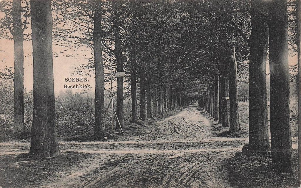 702-149-025 Soeren Boschkiek, Verzenden, Voor 1920, Gelderland