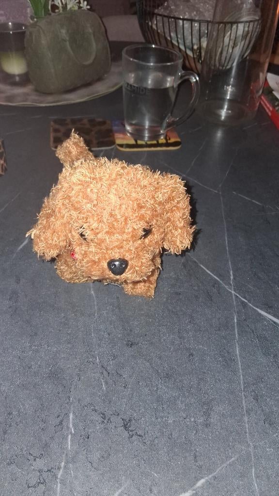 Knuffelhondje op batterijen, Kinderen en Baby's, Speelgoed | Knuffels en Pluche, Ophalen of Verzenden, Nieuw, Hond