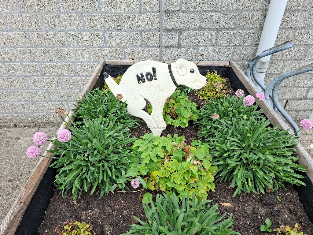 mooie grote gietijzeren hond, Tuin en Terras, Ophalen of Verzenden, Gebruikt, Steen, Overige typen