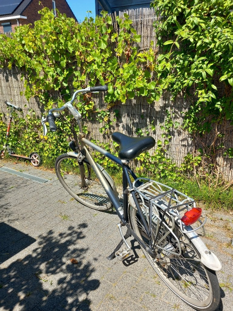 Herenfiets, Ophalen, Gebruikt, Versnellingen, Batavus