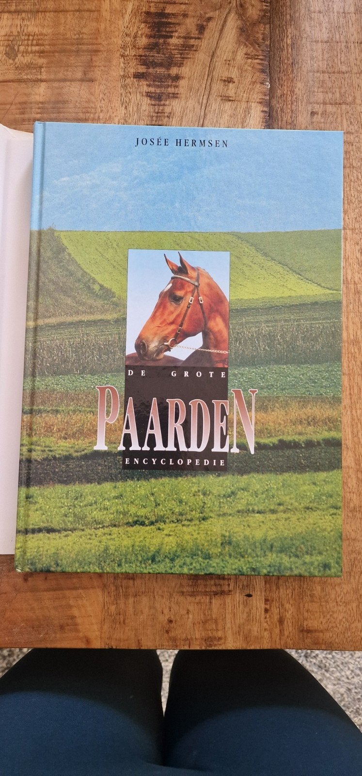 De grote paarden encyclopedie Josee Hermsen ISBN9036613620, Ophalen of Verzenden, Zo goed als nieuw, Dieren, Josee hermsen