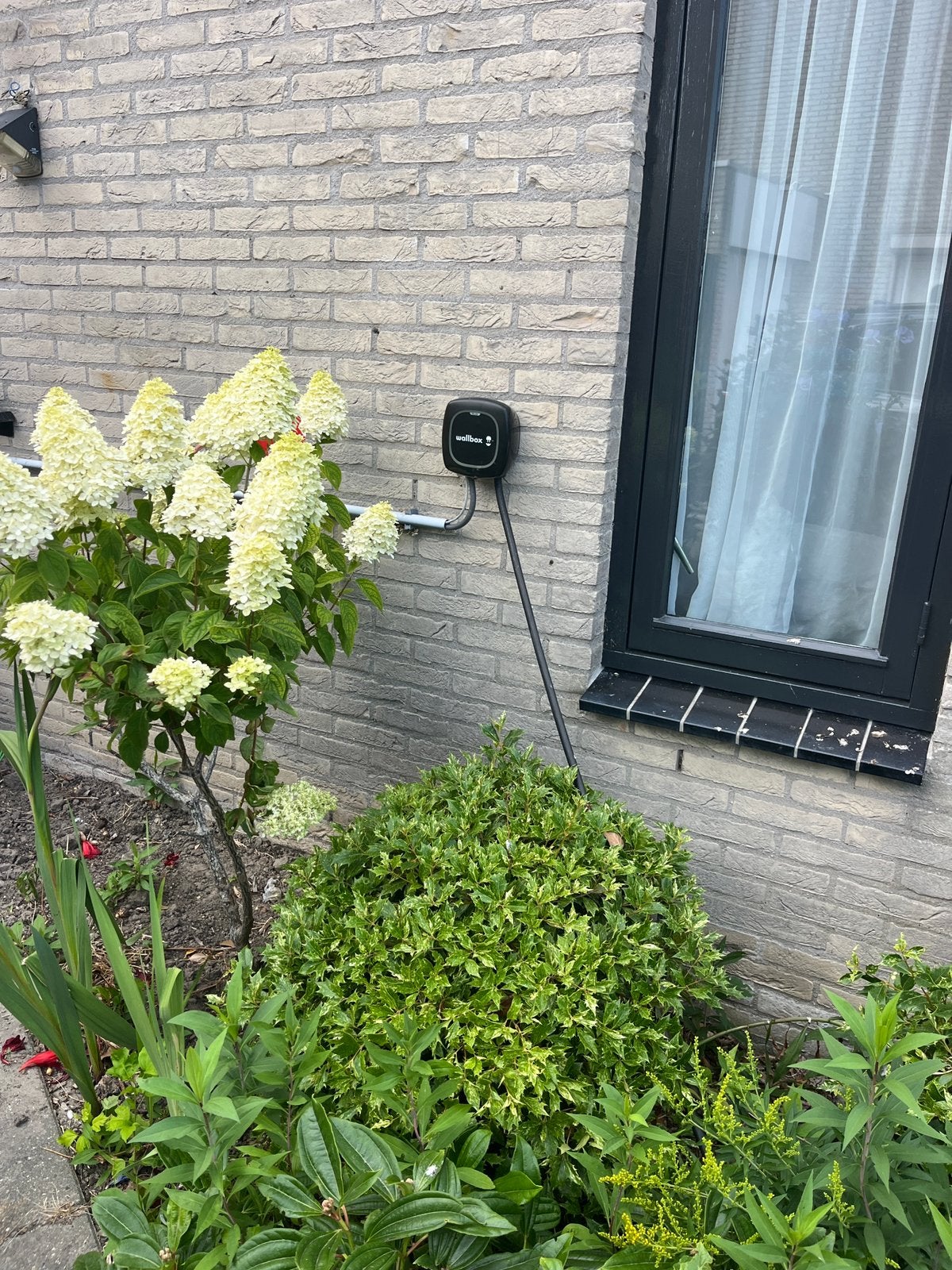 Walbox Pulsar plus, Ophalen of Verzenden, Gebruikt, Laadpaal