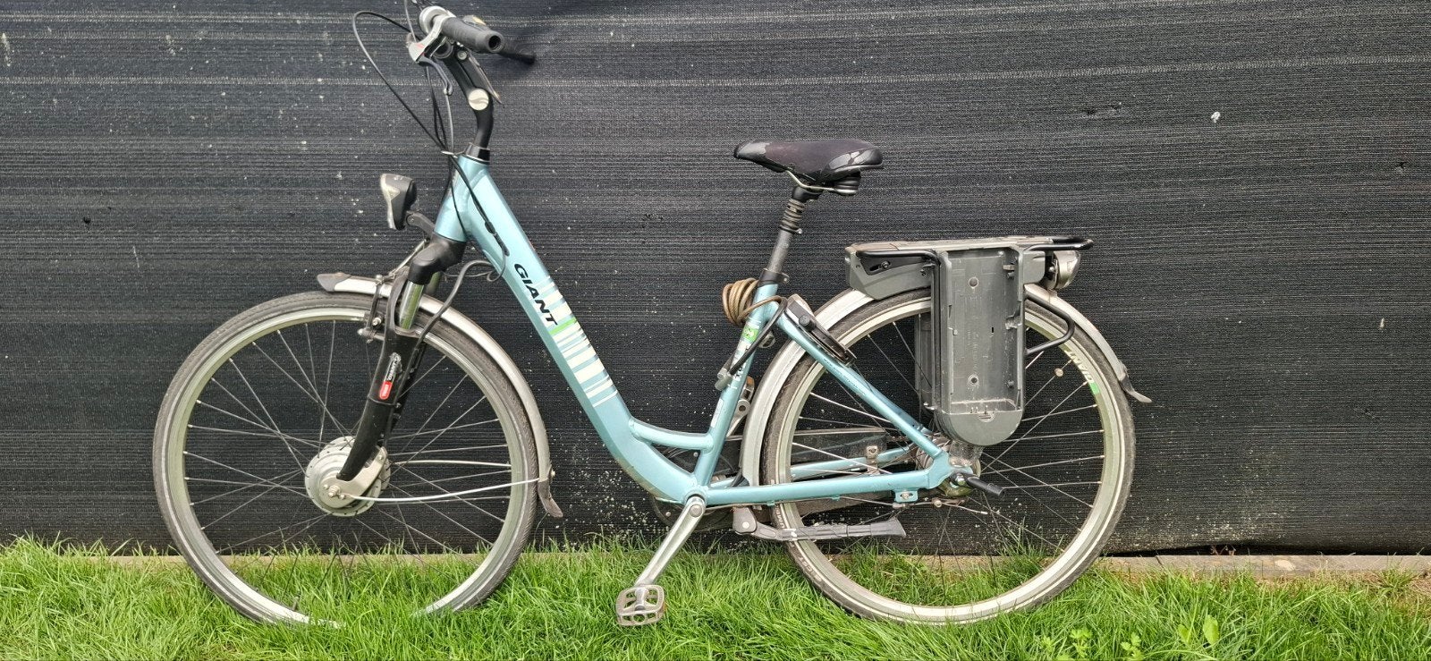 Giant Twist Double E-bike, Ophalen, Gebruikt