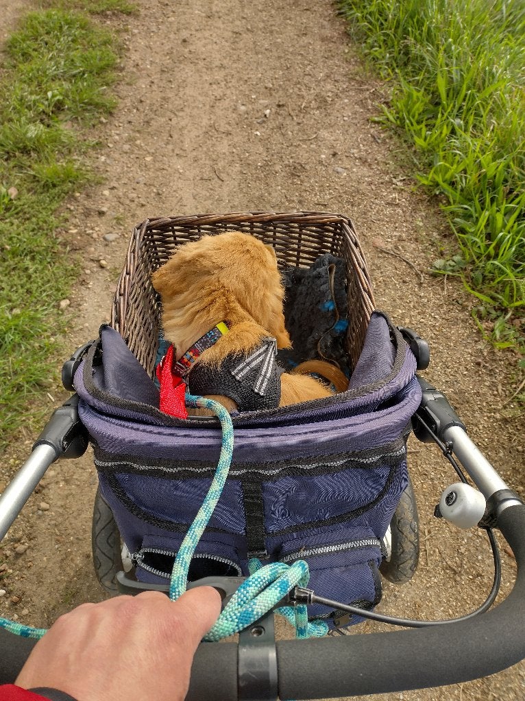 Buggy voor pup, Ophalen, Gebruikt