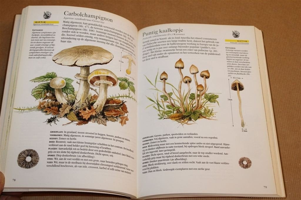 Nieuwe Paddestoelengids — Eetbare en Giftige Soorten, Ophalen of Verzenden, Gelezen
