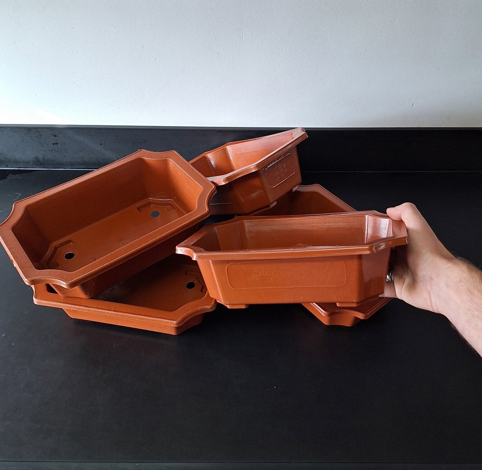 5x Bonsai Trainingsbak XL 30cm - Ideaal voor Bonsai Kweek, Kunststof, Minder dan 30 cm, Minder dan 60 cm, Ophalen of Verzenden