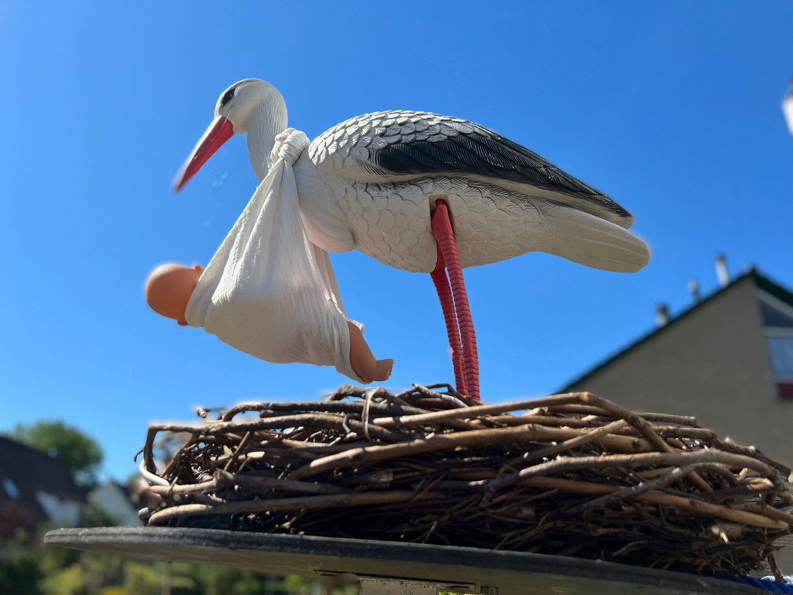 Geboorte ooievaar op nest met feestlijn te huur, Ophalen
