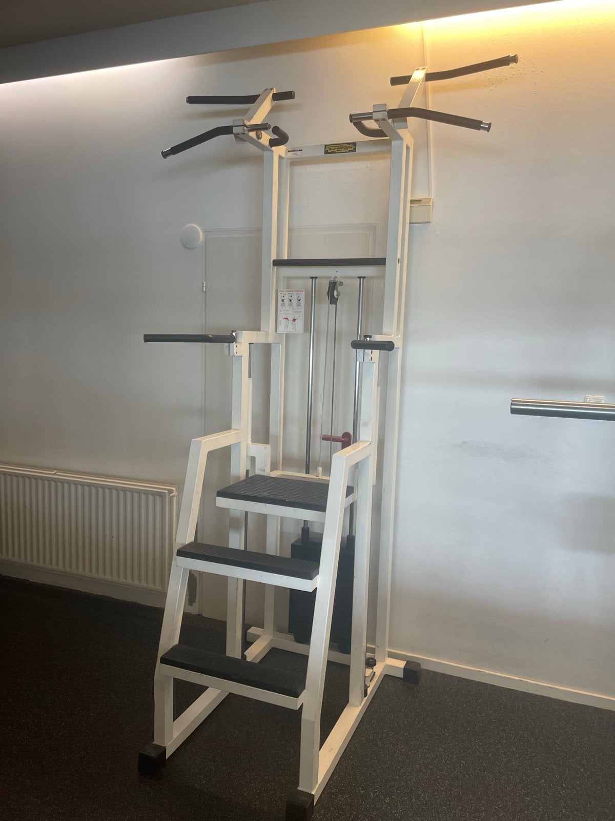 Technogym Krachtstation - Dip/Chin-up Assist, Ophalen, Gebruikt, Krachtstation, Armen
