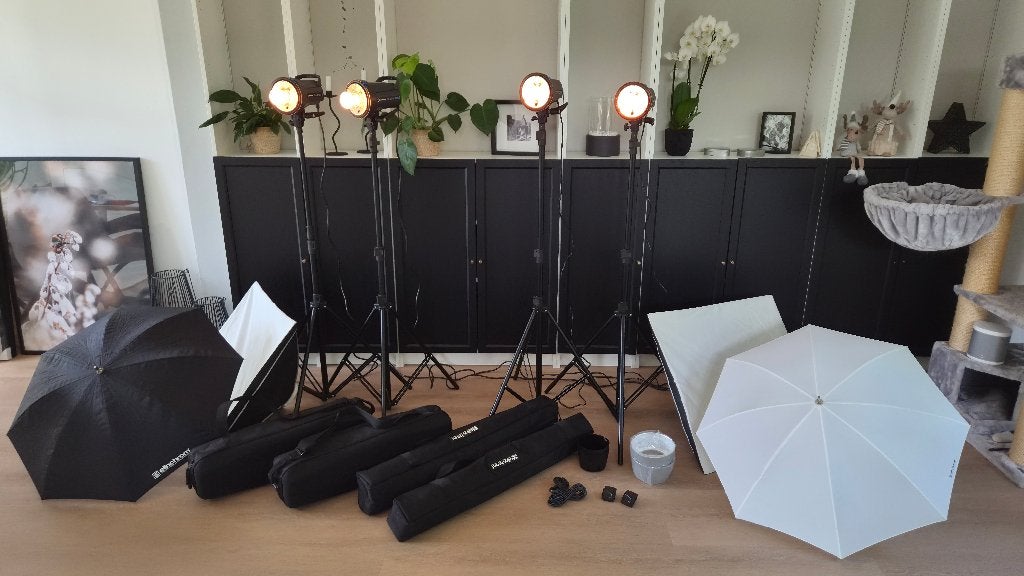 Elinchrom studioset 2x D-Lite RX 4 + 2x RX ONE compleet, Audio, Tv en Foto, Ophalen, Gebruikt, Elinchrom, Complete fotostudio
