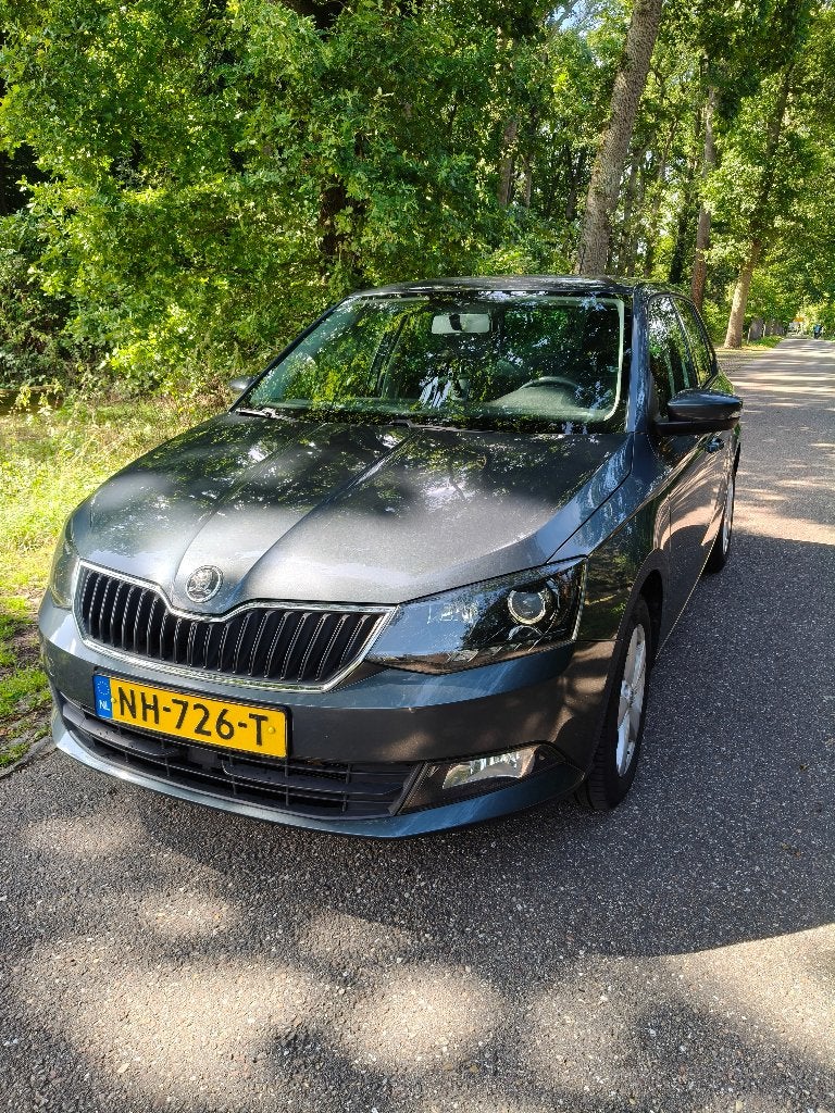 Skoda Fabia 1.2 TSI 66KW 2017 Grijs, Voorwielaandrijving, Stof, 40 €/maand, Origineel Nederlands