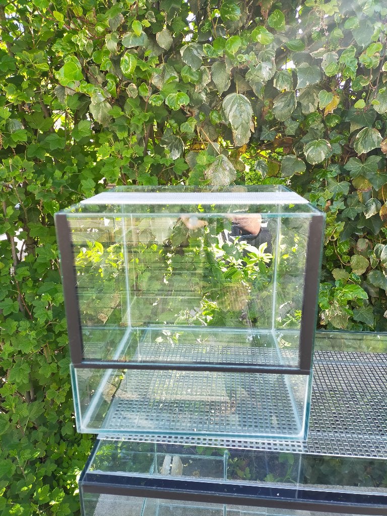klein terrarium 30x30x30 nieuw, Ophalen, Nieuw
