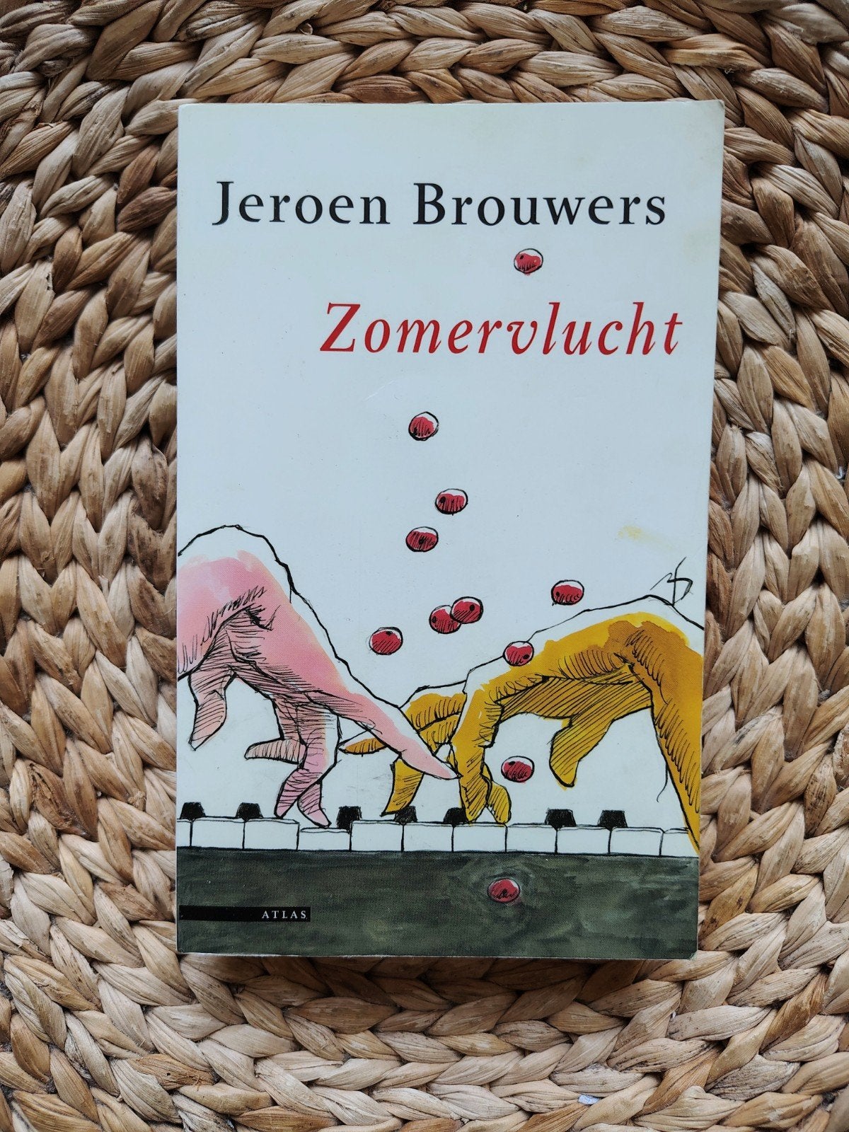 Jeroen Brouwers - Zomervlucht, Ophalen of Verzenden, Zo goed als nieuw