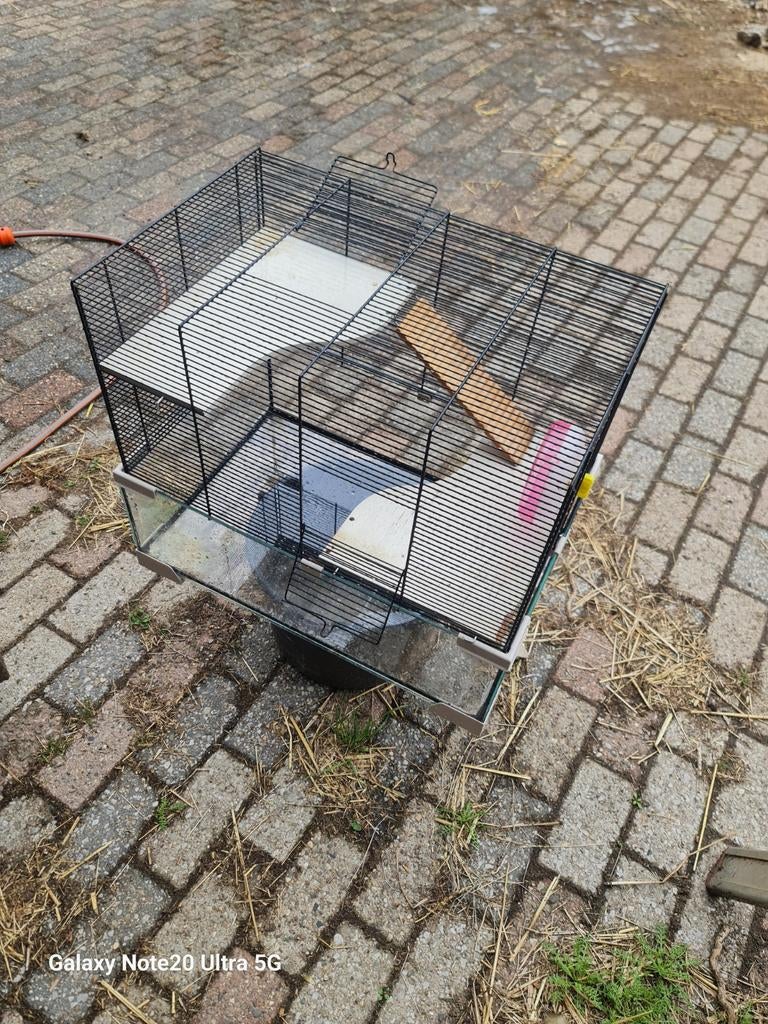 Hamsterkooi, Ophalen, Minder dan 75 cm, Kooi, Minder dan 60 cm