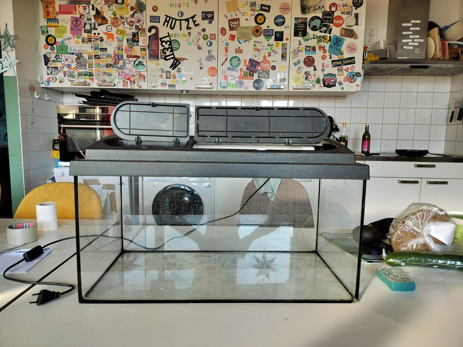 Aquarium 54 L, Dieren en Toebehoren, Ophalen, Hok, Minder dan 60 cm