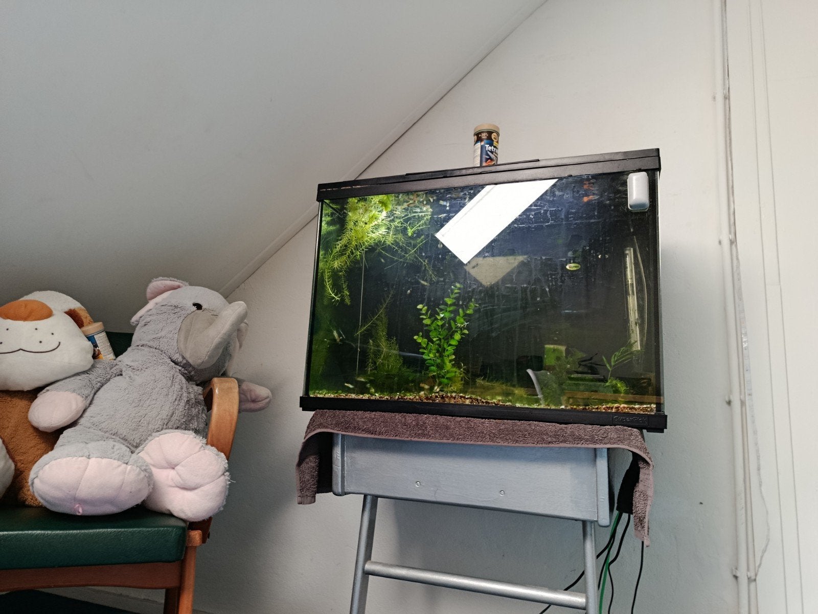 aquarium 68x50x38, Ophalen of Verzenden, Gebruikt