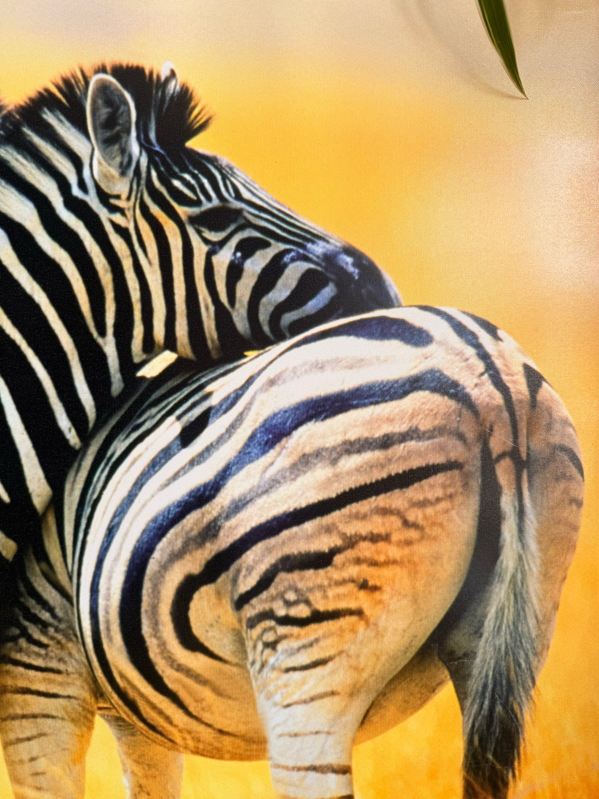 Groot Zebra Schilderij - Afrikaanse Savanne Kunst, Ophalen, 50 – 75, Zo goed als nieuw, Schilderij
