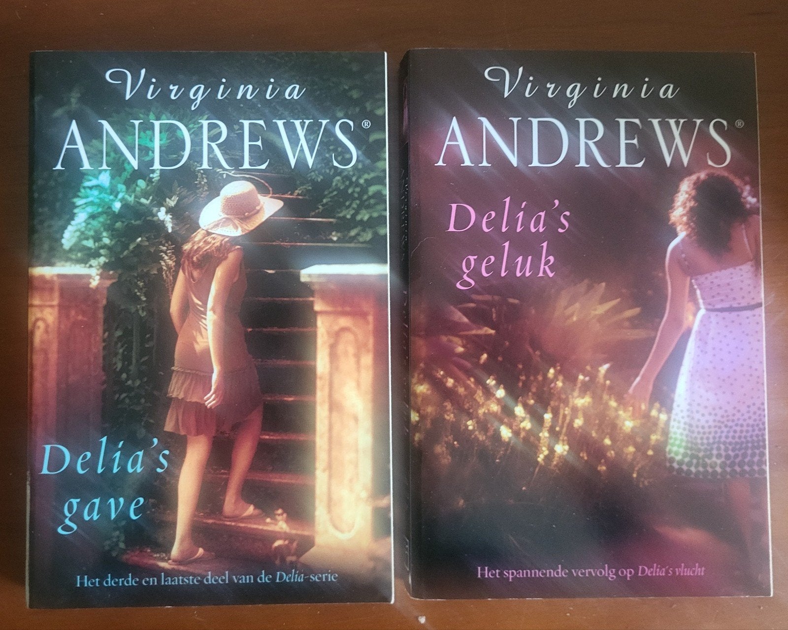 Virginia Andrews - Delia's gave & Delia's geluk (2 boeken), Ophalen of Verzenden, Gelezen, Virginia Andrews, Nederland