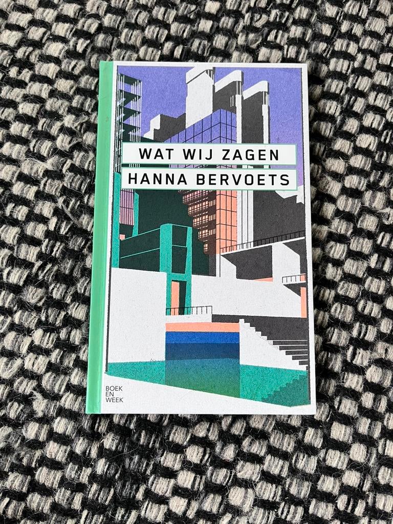 Hanna Bervoets - Wat wij zagen, Boeken, Ophalen of Verzenden, Zo goed als nieuw, Hanna Bervoets