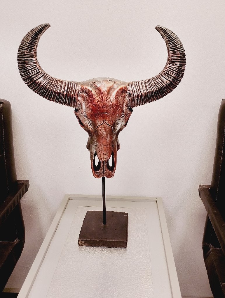 XXL Buffel schedel op standaard +/- 56 cm hoog, Huis en Inrichting, Gebruikt, Decoratieobject, 56 cm, Ophalen