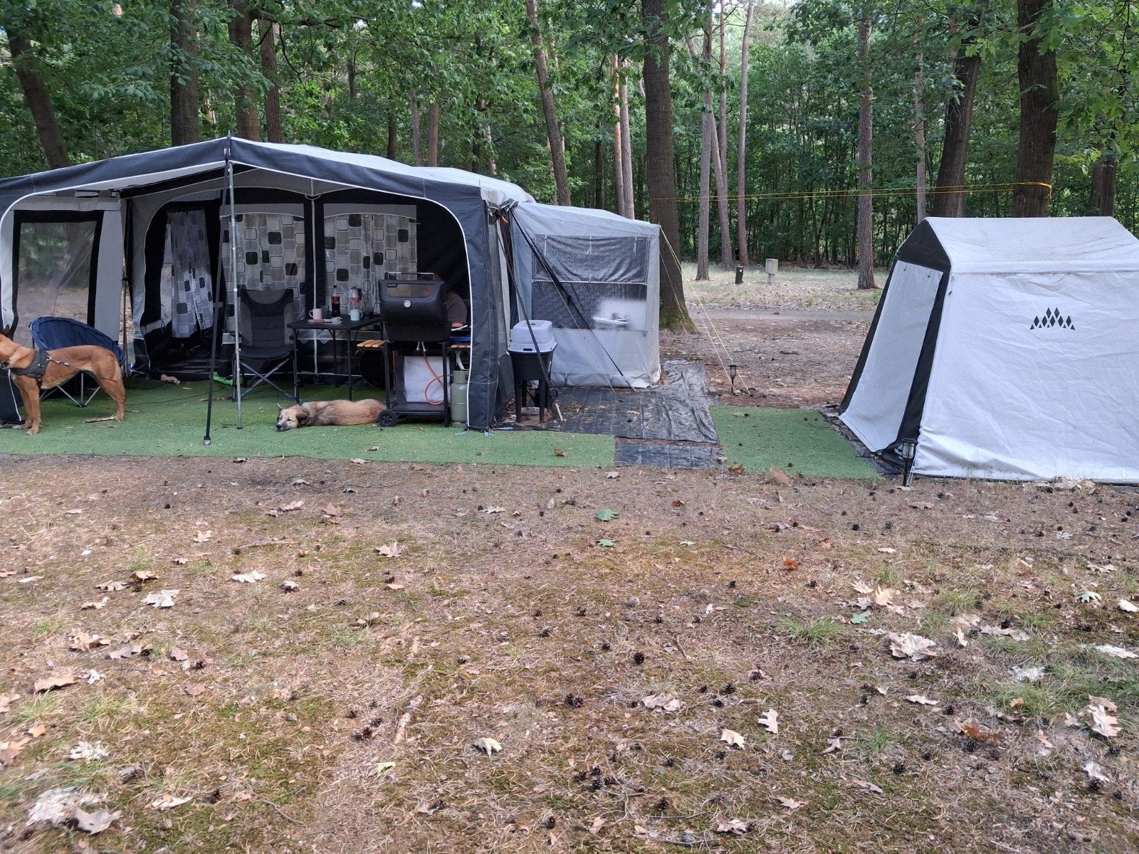 Knaus Azur Caravan met staplek t/m eind oktober, Caravans en Kamperen, Rondzit, Tot en met 2, Knaus, 2 aparte bedden