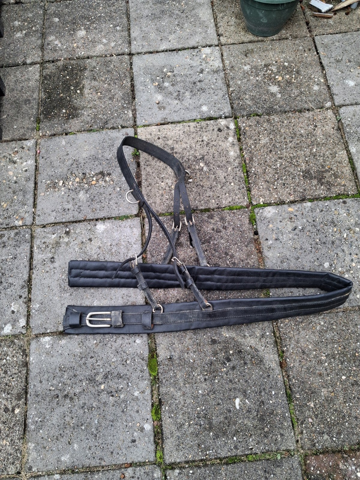 Borsttuig Fjord/shetlander lengte 1.37, Dieren en Toebehoren, Ophalen, Gebruikt, Pony, Zwart
