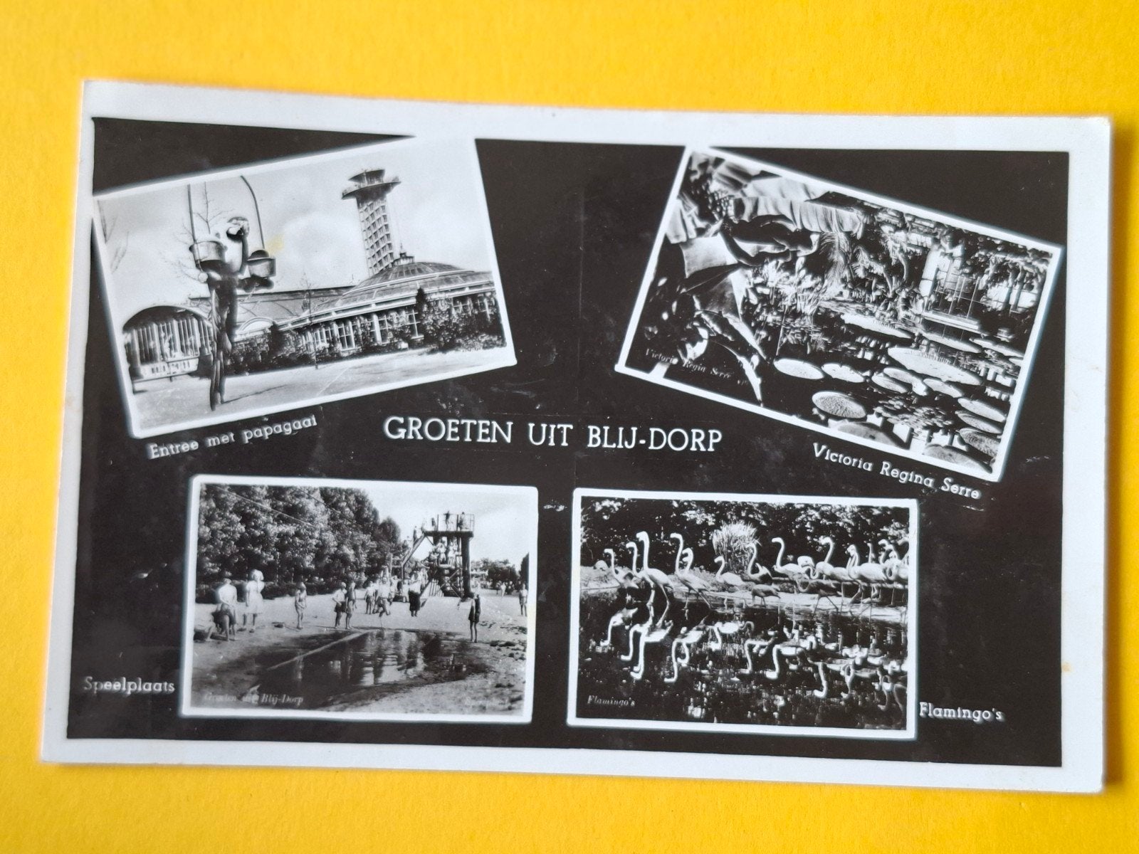 Diergaarde Blijdorp, Ophalen of Verzenden, Voor 1920, Zuid-Holland