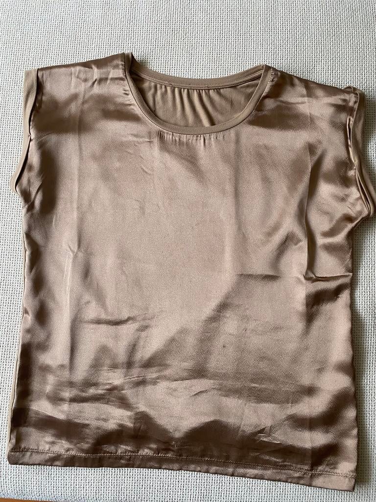 Ivy topje, Ophalen of Verzenden, Zo goed als nieuw, Beige, Korte mouw