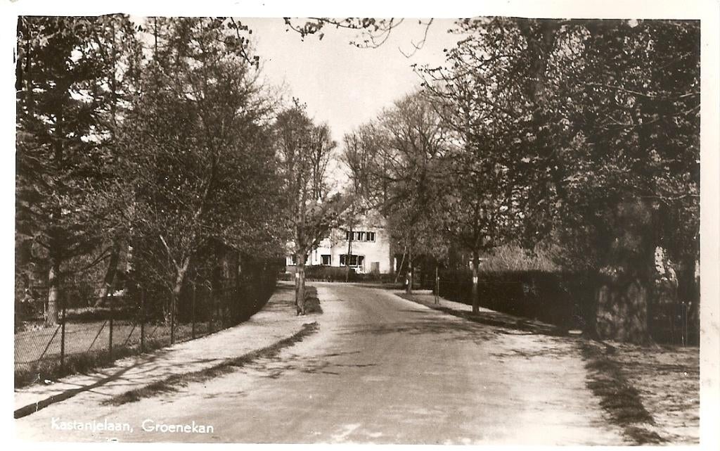 Groenekan, Kastanjelaan, Verzamelen, Ansichtkaarten | Nederland, Ophalen of Verzenden, 1960 tot 1980, Ongelopen, Utrecht