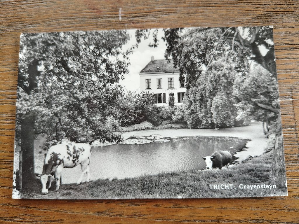 Tricht Crayensteyn, Ophalen of Verzenden, Noord-Brabant