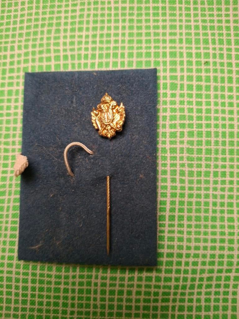 Gouden Speldje met Wapen - Vintage Broche, Ophalen of Verzenden, Gebruikt