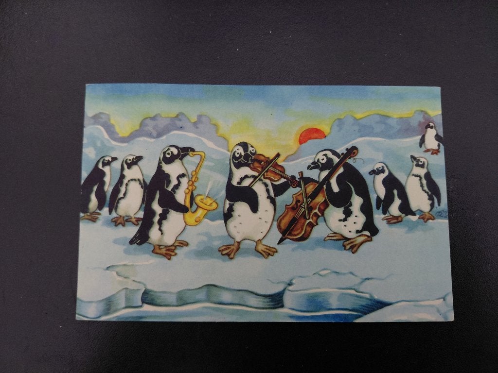Pinguïns maken muziek, orkest op ijsschots, gelopen, Verzenden, 1960 tot 1980, Gelopen, Vogel