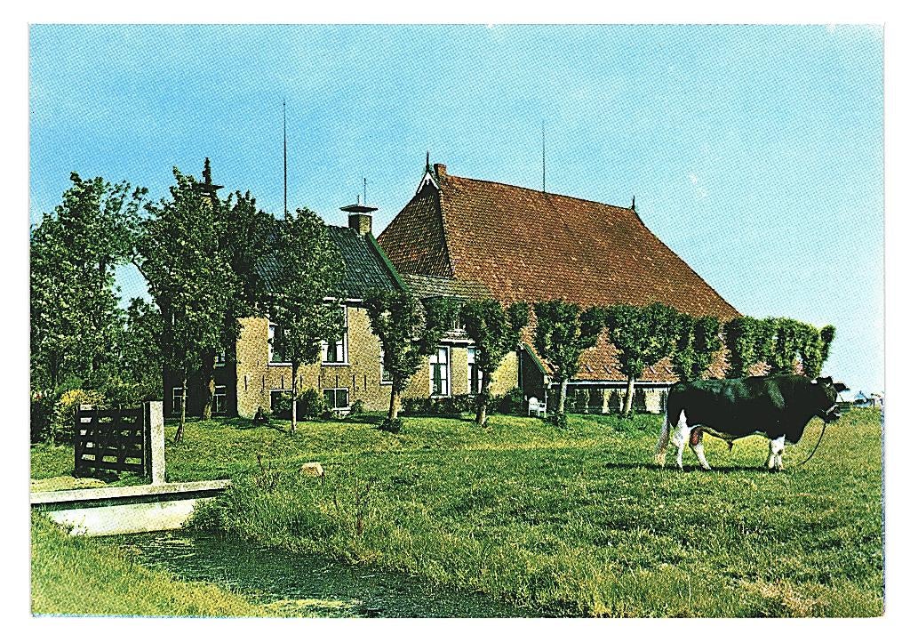 802168 Friesland 1180 Boerderij Nette kaart Onbeschreven