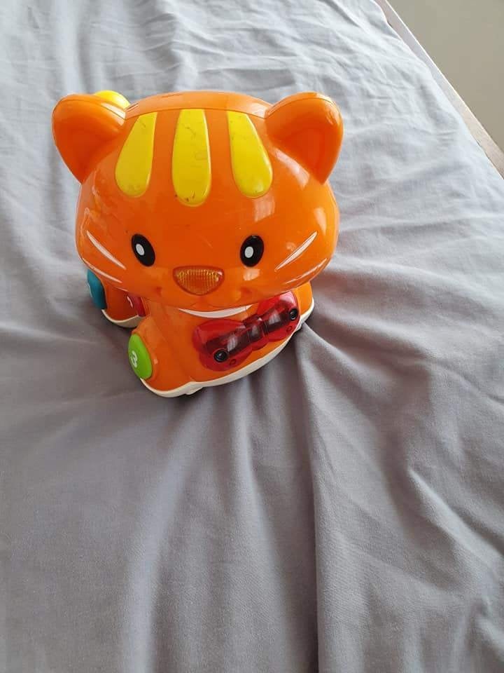 VTech Pak Me Dan Kat - Interactief Speeltje, Ophalen of Verzenden, Gebruikt, 6 maanden tot 2 jaar