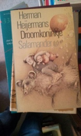 Boek - 132 - Droomkoninkje -  Herman Heijermans, Ophalen of Verzenden, Zo goed als nieuw