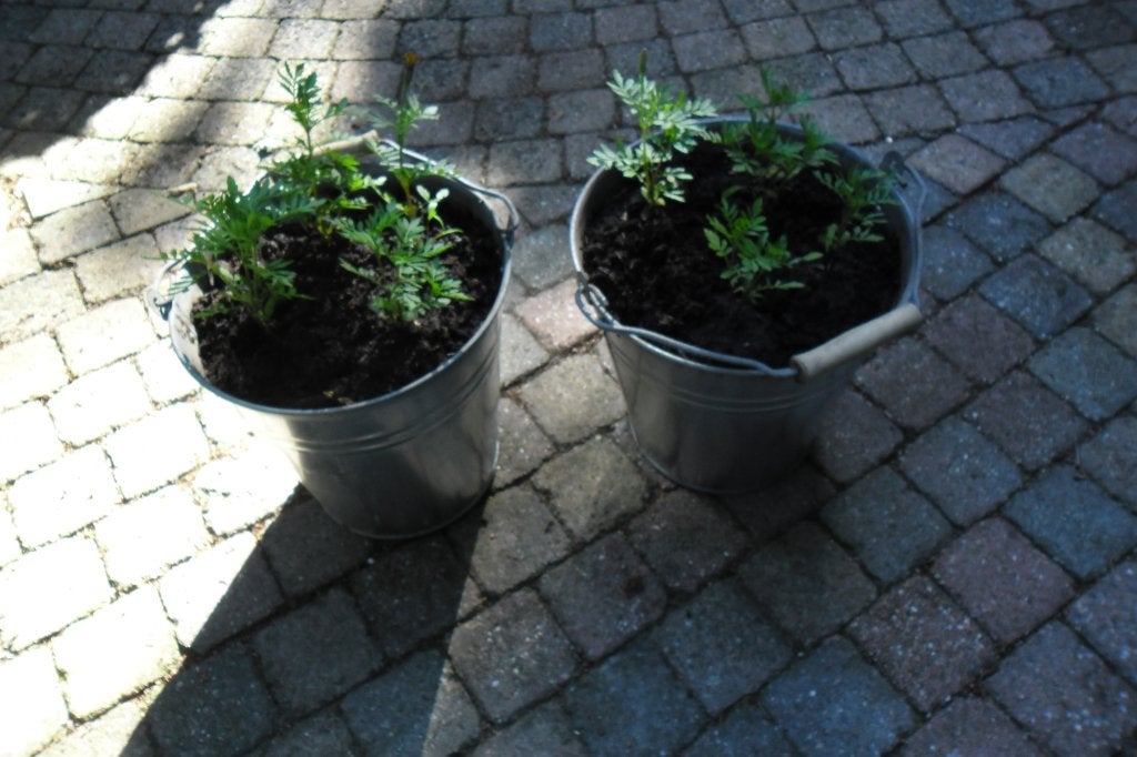zinken emmer met bloemen, Ophalen, Zo goed als nieuw, Zink
