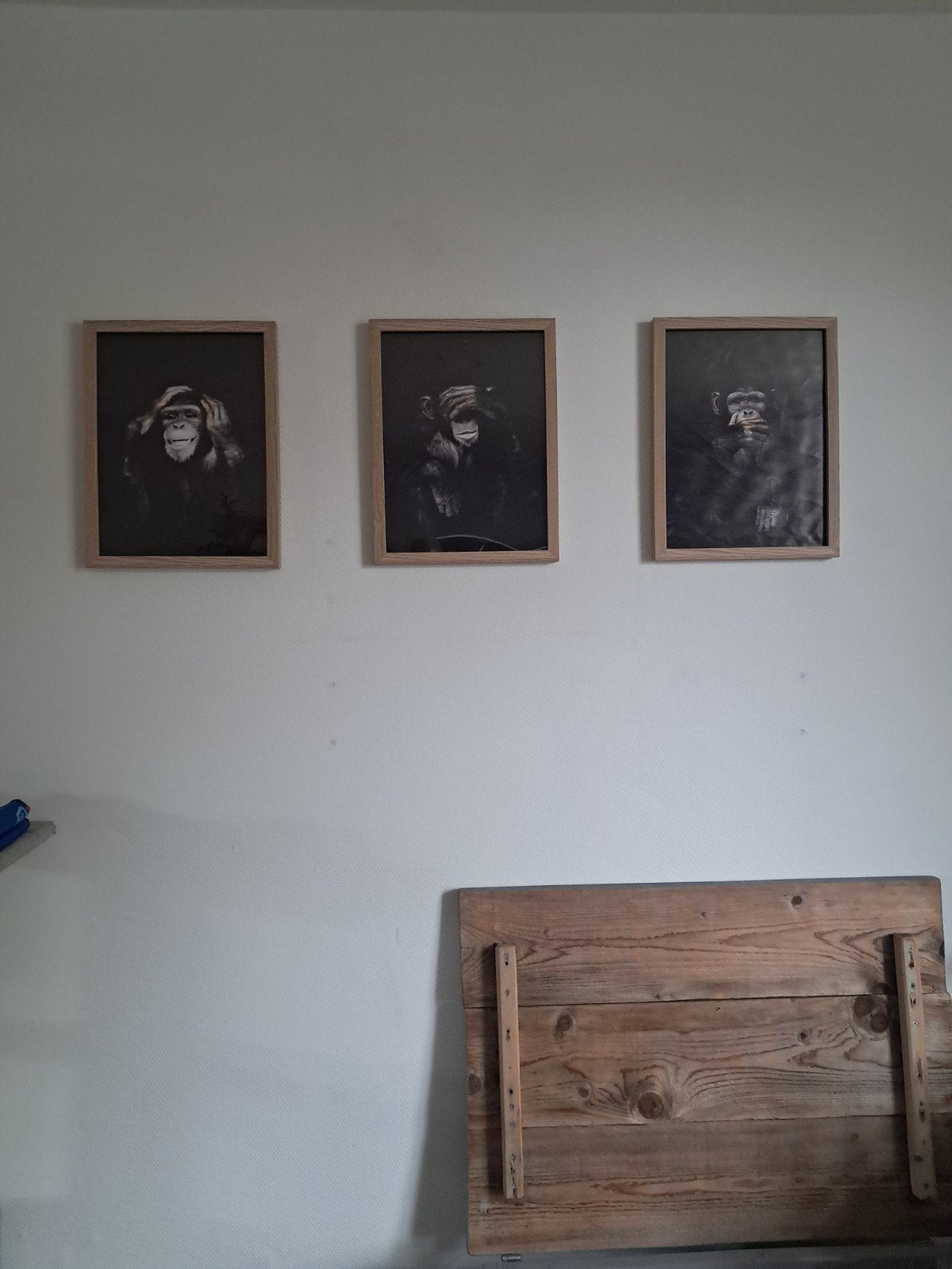 Set van 3 apen schilderijen: Horen, Zien, Zwijgen, Minder dan 50 cm, Ophalen of Verzenden, Zo goed als nieuw, Schilderij