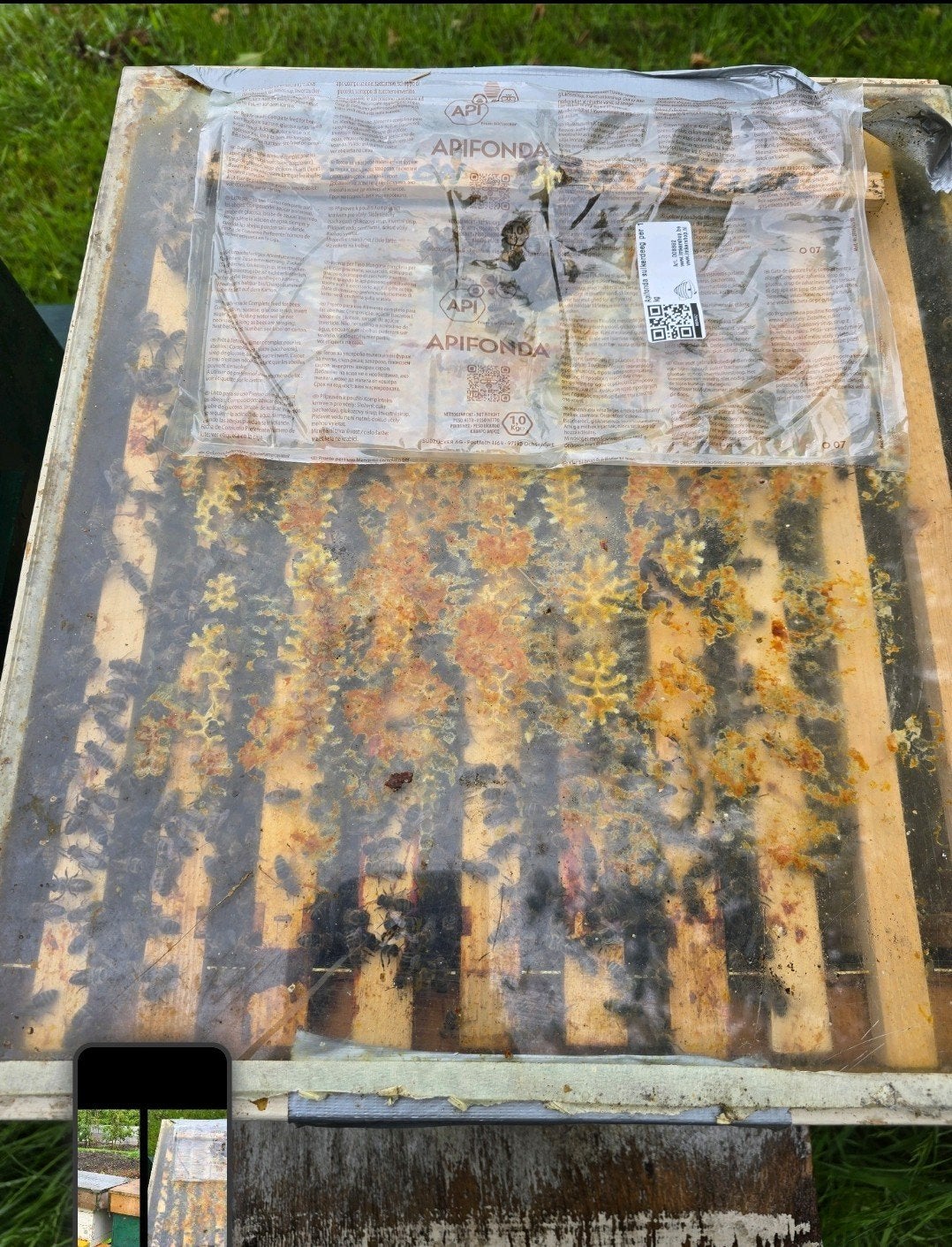 10 ramen carnica bijen, Dieren en Toebehoren, Insecten en Spinnen, Bijen