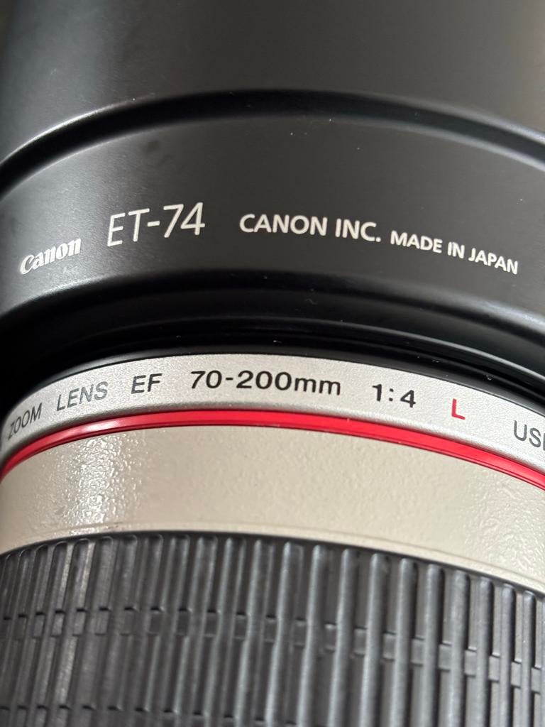 Canon EF 70-200mm f/4 L USM Telelens met zonnekap ET-74, Audio, Tv en Foto, Fotografie | Lenzen en Objectieven, Ophalen, Zo goed als nieuw