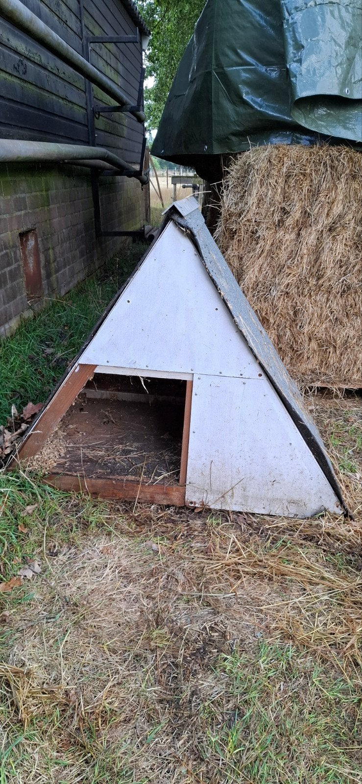 eendenhok, ganzenhok, kippenhok, schuilplaats, Ophalen, Gebruikt, Kippenhok of Kippenren
