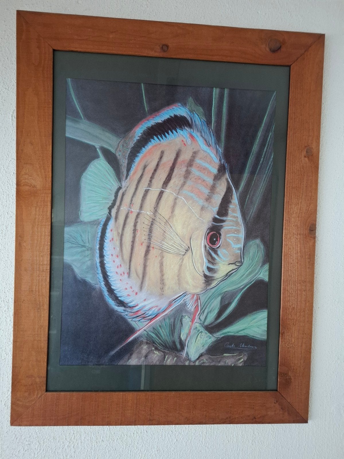 Mooie discusvissen print/schilderij., Ophalen