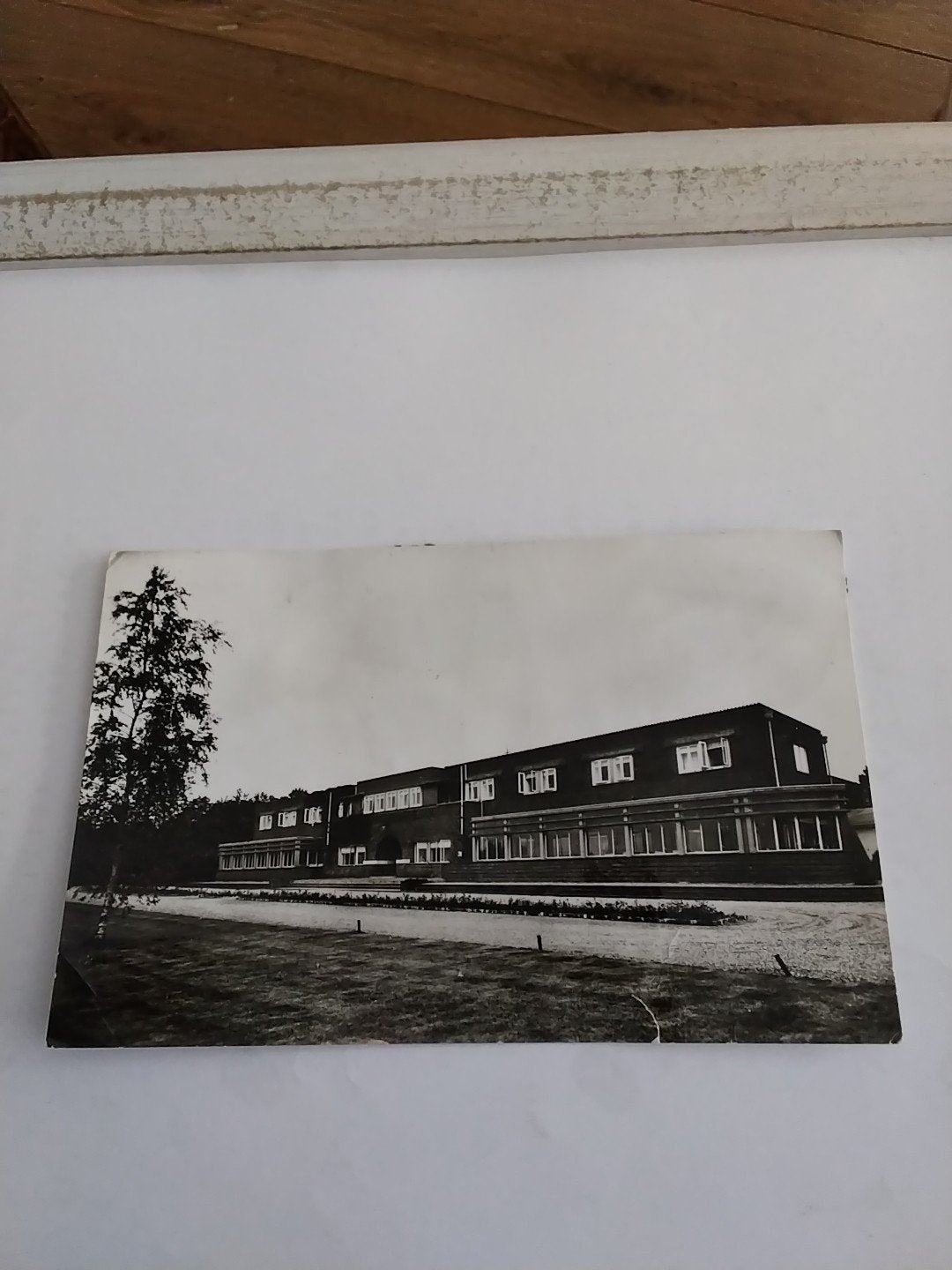 Oude Ansichtkaart Mutsaersoord Venlo, Ophalen of Verzenden, 1940 tot 1960, Gelopen, Limburg
